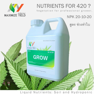 GROW Fertilizer ปุ๋ยกัญชา NPK 20-10-20 สูตรเร่งลำต้น เร่งใบ ปริมาตร 1L