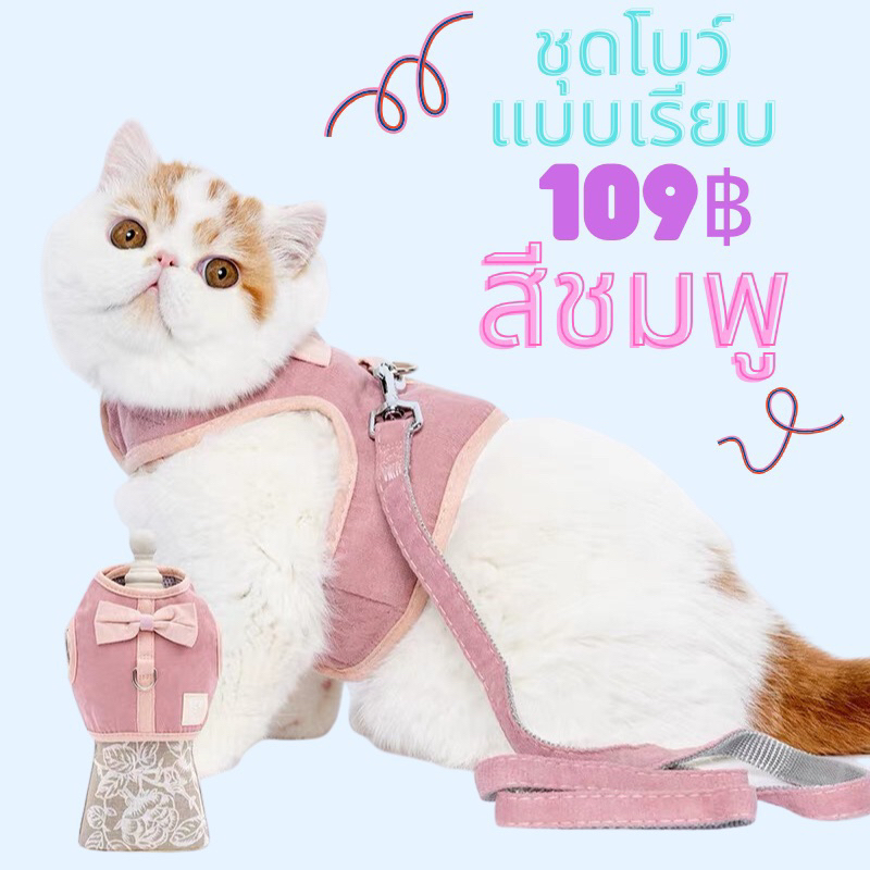 ชุดโบว์แบบเรียบ น้องหมาและน้องแมว พร้อมสายจูง (สินค้าพร้อมส่งจากไทย🇹🇭)