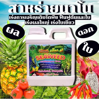 🌿สาหร่ายนาโน🌿เปิดตาดอก🌿เร่งใบเขียว🌿เพิ่มขนาดผล🌿แกลลอน1ลิตร🌿ฉีดพ่นใบรถราดดินเร่งการเจริญเติบโตของพืชเร่งการฟื้นฟู5เท่า
