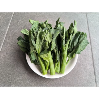 เมล็ดคะน้าฮ่องกง 500 เมล็ด(ซื้อ5แถม1คละได้)