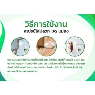 สมุนไพรกำจัดปลวก มด Herb Termite Ant สมุนไพรไล่แมลง ขนาด 500 มล.