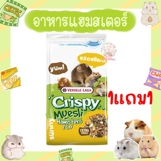 1แถม1 Crispy Muesli Hamsters &amp; Co อาหารแฮมสเตอร์ (แบ่งขาย)