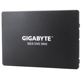 GIGABYTE SSD 1TB SATA (GP-GSTFS31100TNTD)