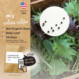 เมล็ดผักนำเข้า คละเคลหลากชนิด Baby Kale Mix (Organic Seed) ใบอ่อนเคล ผักเคล