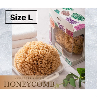 ฟองน้ำธรรมชาติ ชนิด Honeycomb ขนาด L สีน้ำตาล (FREE EMS!!)