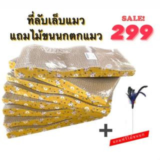 HM-ของเล่นแมวที่ลับเล็บแมว 8 อัน P-100/7 แถมไม้ขนนก P-123/8+NP707