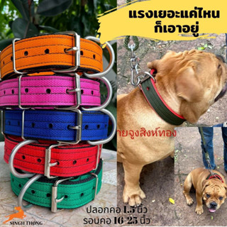 SINGHTHONG ปลอกคอ 18-29 นิ้ว ปลอกคอสุนัขใหญ่ DogCollar ปลอกคอพิทบูลไชส์ใหญ่ แข็งแรง