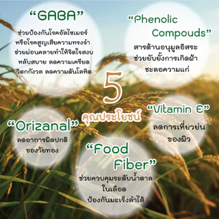 ปัจจัยชีวี ข้าวกล้องงอก GABA Rice 500กรัม, 1000กรัม(1kg) ตราซีซ่า (SESA)