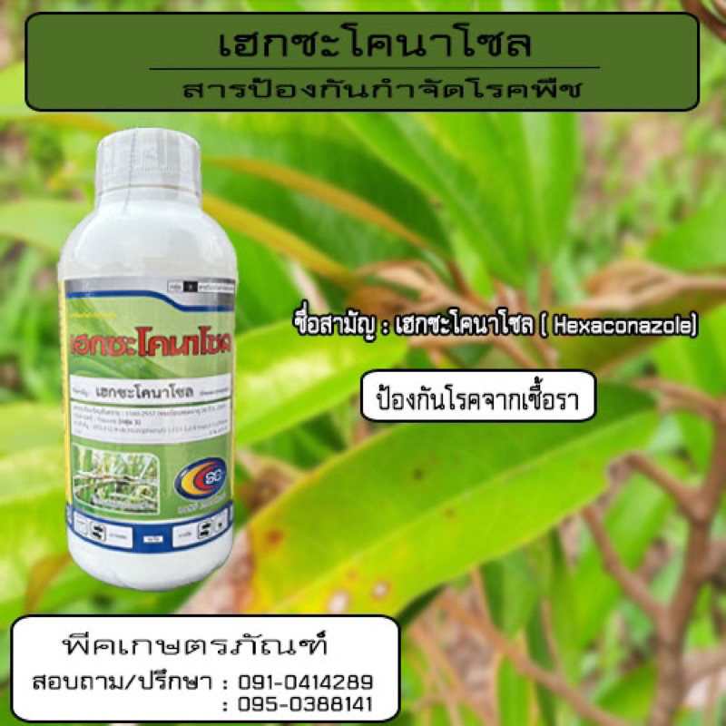 เฮกซะโคนาโซล ( Hexaconazole ) สารป้องกันกำจัดโรคพืชที่เกิดจากเชื้อรา