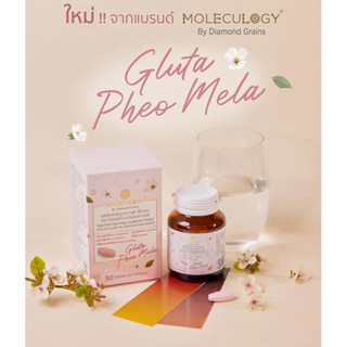 ✨Moleculogy กลูต้า Gluta Pheo Mela Dietary Supplement Product 1 กระปุก / บรรจุ 30 เม็ด