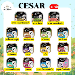 Cesar ซีซาร์ อาหารสุนัขชนิดเปียก แบบถาด ขนาด 100g. จำนวน 1 ถาด