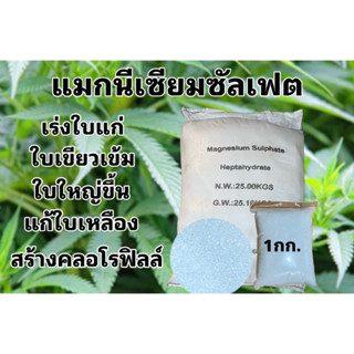 ปุ๋ยเกล็ด แมกนีเซียมซัลเฟต ดีเกลือฝรั่ง / Magnesium sulfate Heptahydrate 99.5% ขนาด 1,000 กรัม