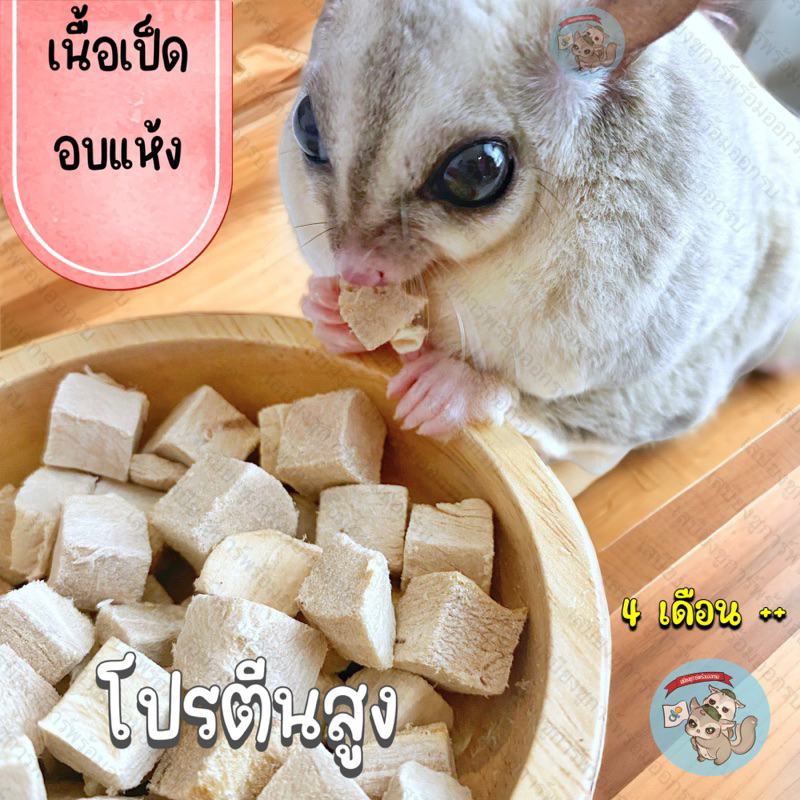 ( เนื้อเป็ดอบแห้ง ) DUCK เนื้อเป็ด อาหาร ชูการ์ กระรอก แฮมสเตอร์ ดอร์เมาส์ บุชเบบี้ ลิงมาโมเสท เม่นแคระ ชูก้า หมา แมว
