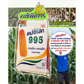 เมล็ดพันธุ์ ข้าวโพดเลี้ยงสัตว์ แปซิฟิค 995 / 3.5 หุน เมล็ดกลมกลาง/ ขนาด 10 กิโลกรัม ถุงใหม่