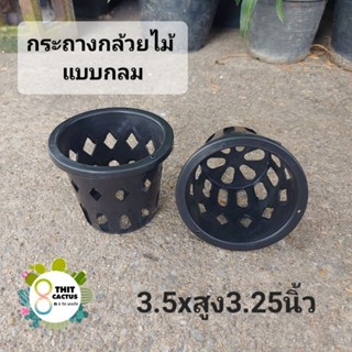 กระถางกล้วยไม้ แบบกลม 3.5x3.25นิ้ว // กด 12 ชิ้น 30฿ -- กระถางพลาสติก กระถางเกษตร