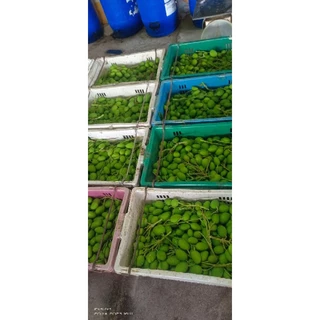 มะม่วงเบาสด 1 กิโลกรัมตัดสดใหม่