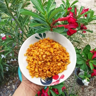 ข้าวโพดทอดกรอบ 1 แถม 1 กรอบ หอม อร่อย ทอดสดใหม่ ผลิตทุกวัน ไม่ค้างสต๊อก