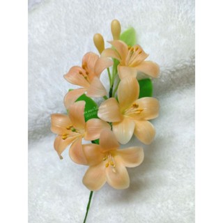ดอกกันเกรา , ดอกไม้ดิน ,ดอกไม้แต่งผม ราคาช่อละ 49 บาท