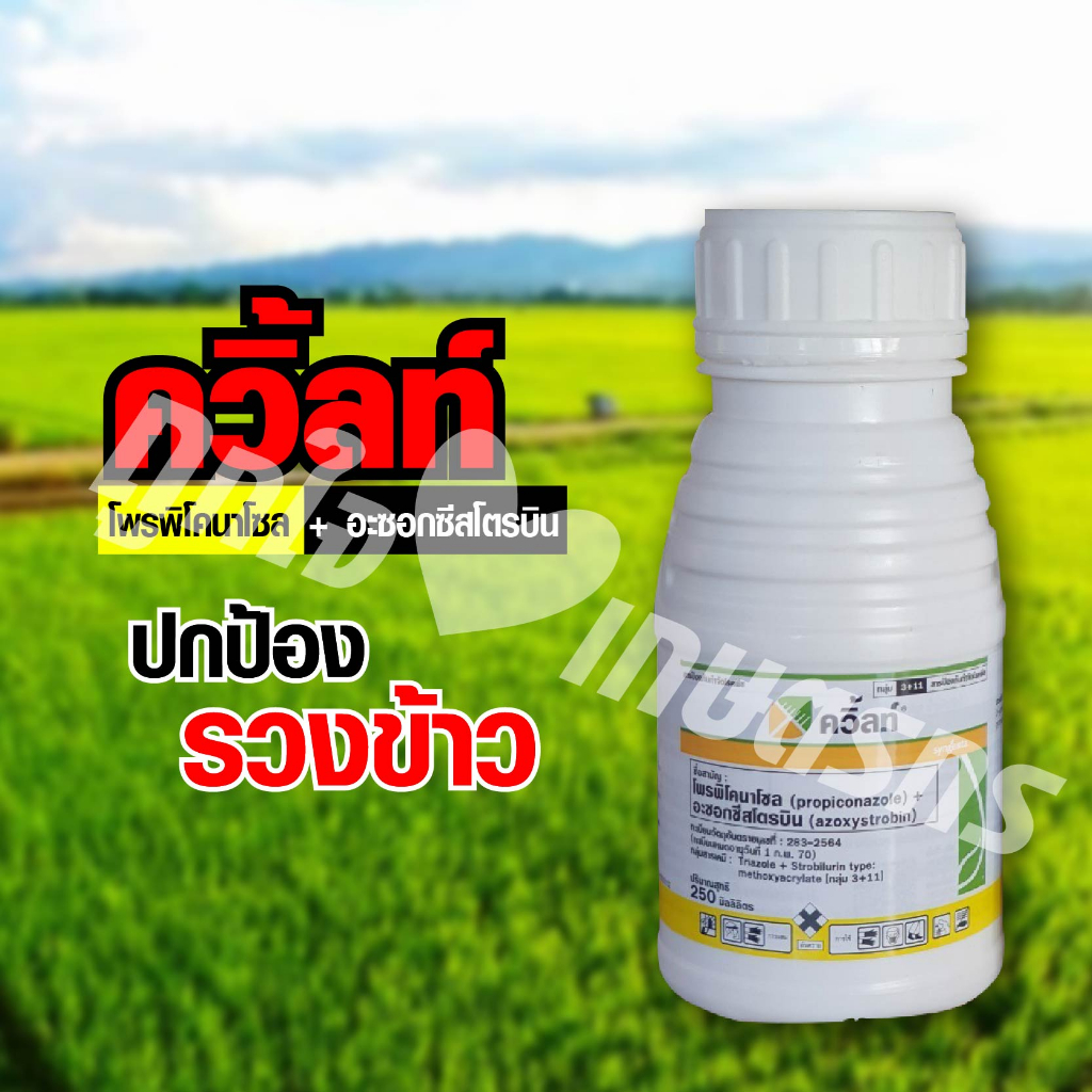 ควิ้ลท์ 250 ml /500 ml โพรพิโคนาโซล+อะซอกซีสโตรบิน ป้องกัน กำจัดโรคใบไหม้ กาบใบแห้งในนา ใบจุดไหม้