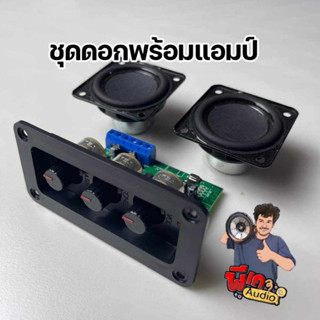 แอปมป์จิ๋ว 20x20w - ดอกฟูเร้น HK 2นื้ว