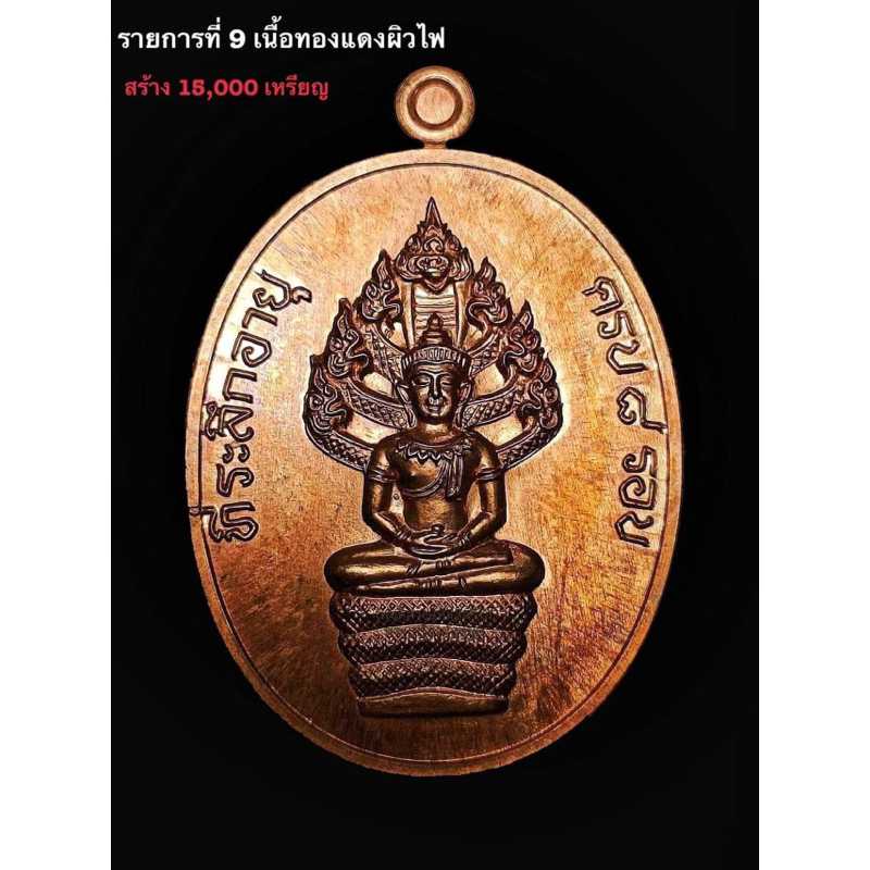 หลวงปู่ทิม อิสริโก วัดละหารไร่ เหรียญนาคปรก ๘ รอบ เนื้อทองแดงผิวไฟ (ย้อนยุค) ปี๒๕๖๖