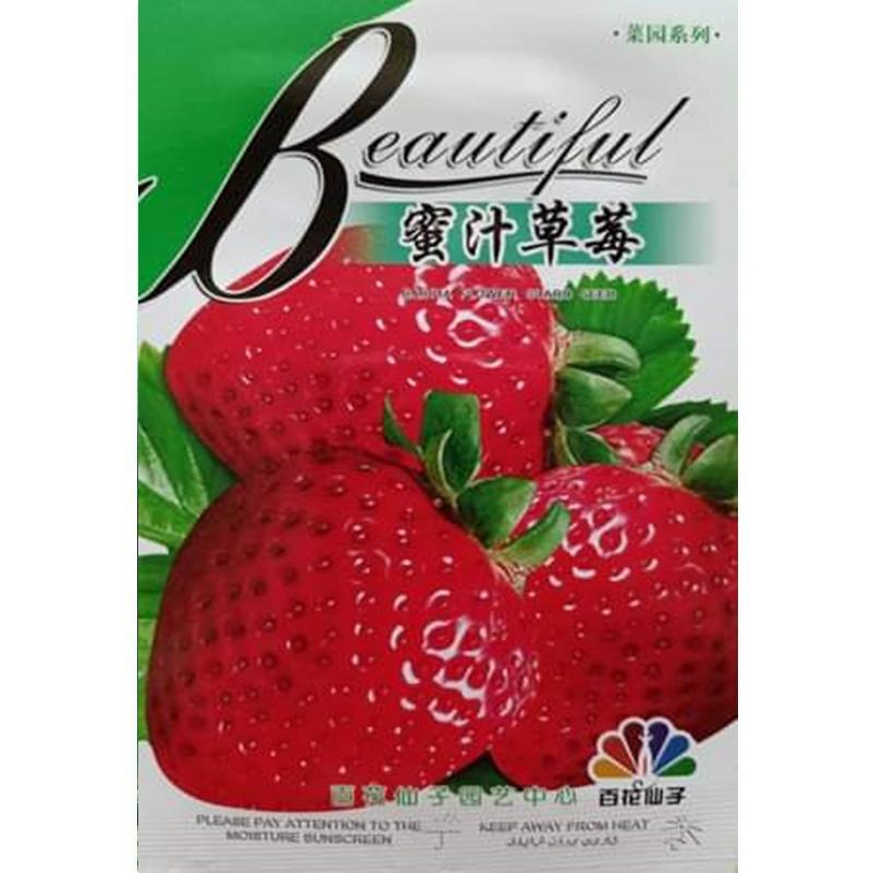 (ขายยกซอง) ซองละ 40 เมล็ด เมล็ดสตรอเบอร์รี่ยักษ์ - Honey strawberry