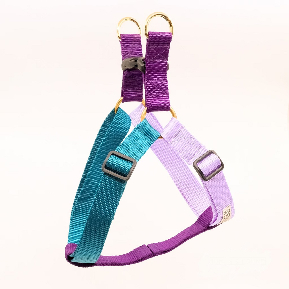 สายรัดอกสุนัข Human and Hound รุ่น Step-in ไซส์ XS-L : สี Monster Inc. สายรัดอกสุนัข ชุดรัดอกสุนัข Dog Harness