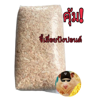 ปังปอนด์ ขี้เลื่อยลองพื้น ลองกรง สุดคุ้ม 600 กรัม สำหรับสัตว์เลี้ยงปูลองนอน สุดคุ้ม มีเก็บปลายทาง
