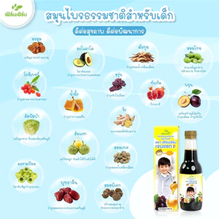 เฟิร์นเฮิร์บเจนแซท อาหารเสริมเด็ก วิตามินเด็ก เจริญอาหาร เพิ่มน้ำหนัก แก้ท้องผูก ขับพยาธิ เสริมภูมิคุ้มกัน (1 ขวด)