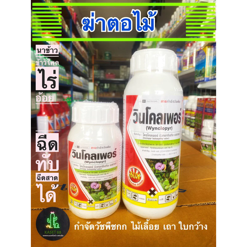 วินโคลเพอร์ ไตรโคลเพอร์ ฆ่าตอไม้ ใบกว้าง กก เถาไม้เลื้อย