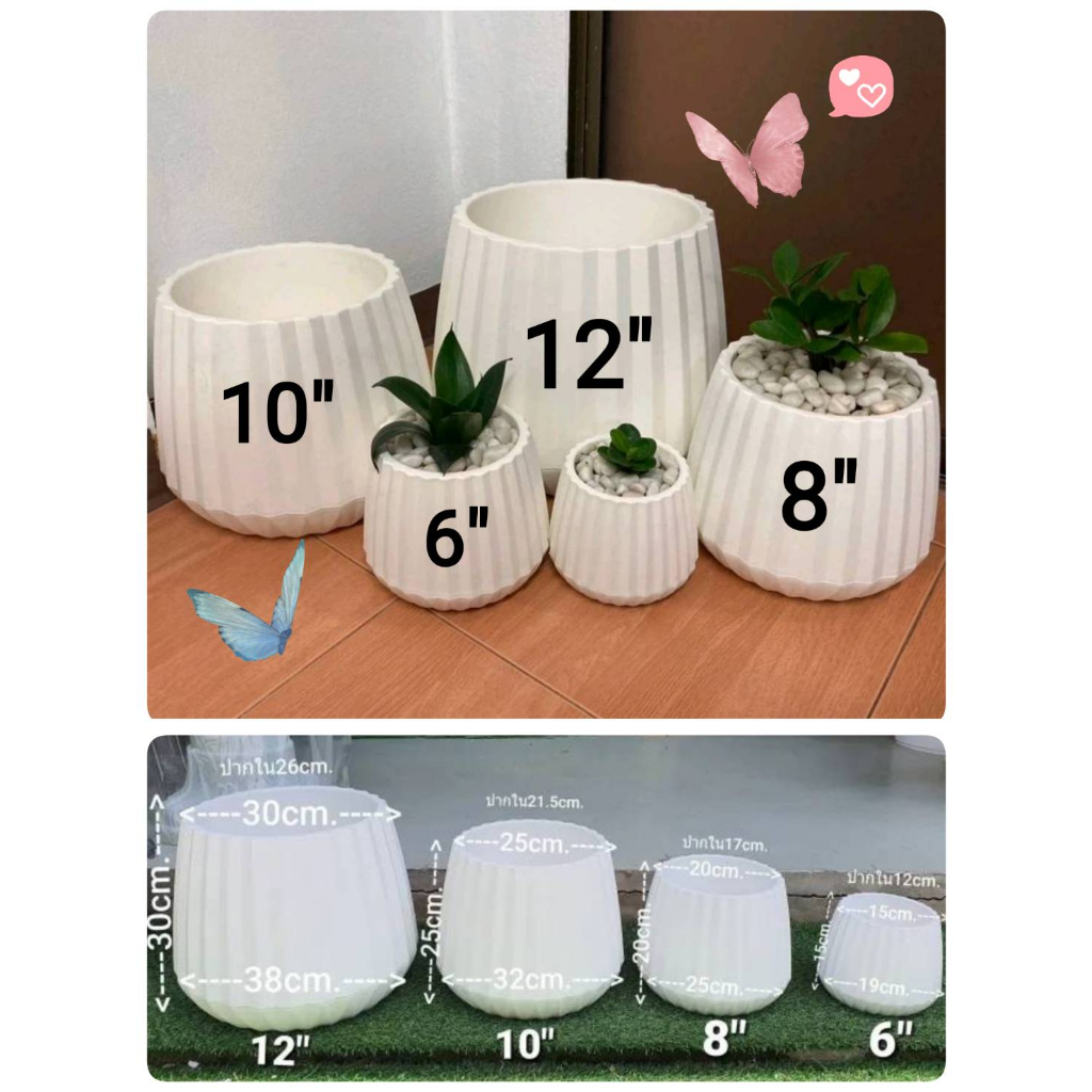 ส่งเร็ว กระถางมินิมอล กระถางโมเดิร์น ทรงหยดน้มีรอยหยัก ทำจากพลาสติกเกรดA มี3สี 4ขนาด 12" 10" 8" 6" ใบใหญ่จุใจ