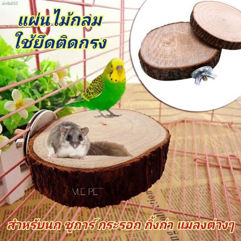 แผ่นไม้กลม ใช้ยึดติดกรง สำหรับนกต่างๆ กระรอก ชูการ์ กิ้งก่า แมลงต่างๆ (ไม้กลม)