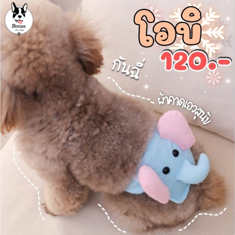 🇹🇭ร้านไทย มีส่งด่วน❤️ โอบิ ผ้าคาดเอวสุนัข ผ้าอนามัยสำหรับสุนัขตัวผู้