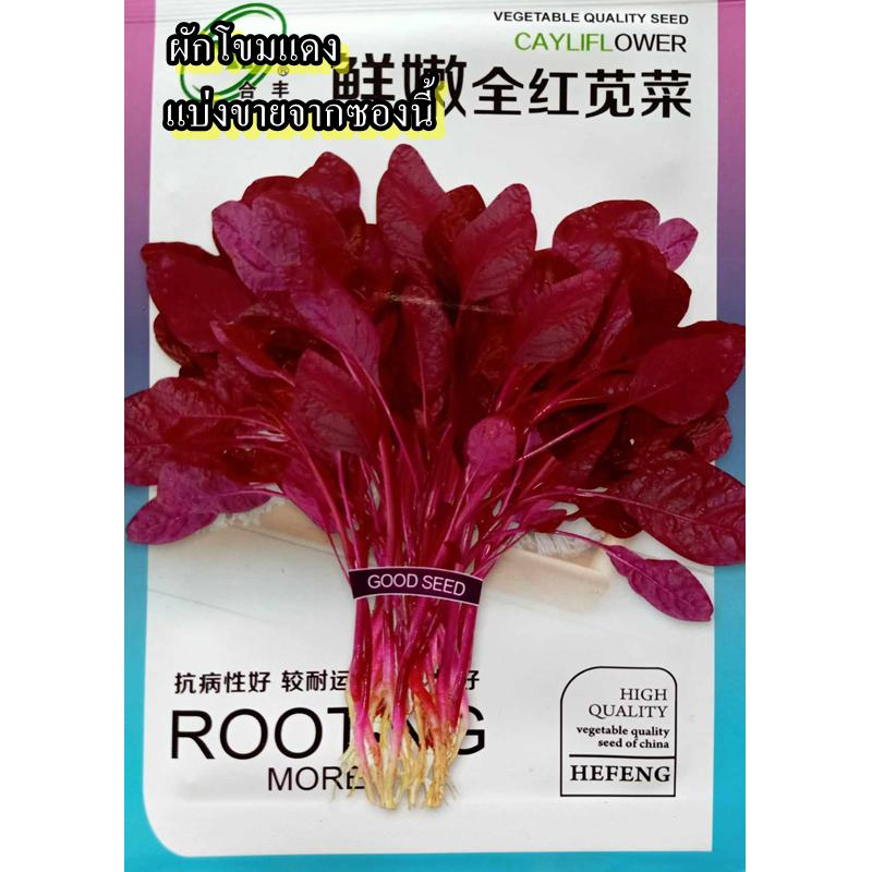 1,200+ เมล็ด เมล็ดผักโขมแดง (ปลูกง่ายมาก ก้านสีแดง ใบสีแดง รสชาติดีอร่อย สามารถนำใบมาประกอบเป็นอาหารได้หลายเมนู)