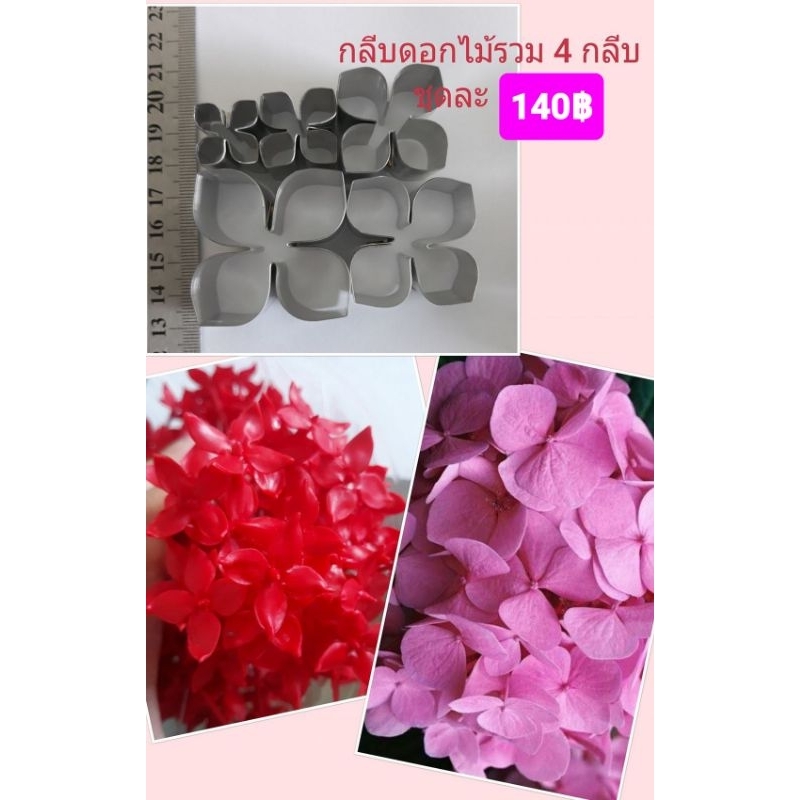 พิมพ์ตัดอลูมีเนียมชุดดอกไม้กลีบรวม H