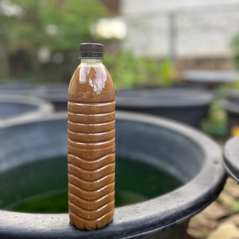 ไรสยาม อามิ อามิ กากผงชูรสแท้ 100% ธาตุอาหารรองสำหรับขยายน้ำเขียวคลอเรลล่า