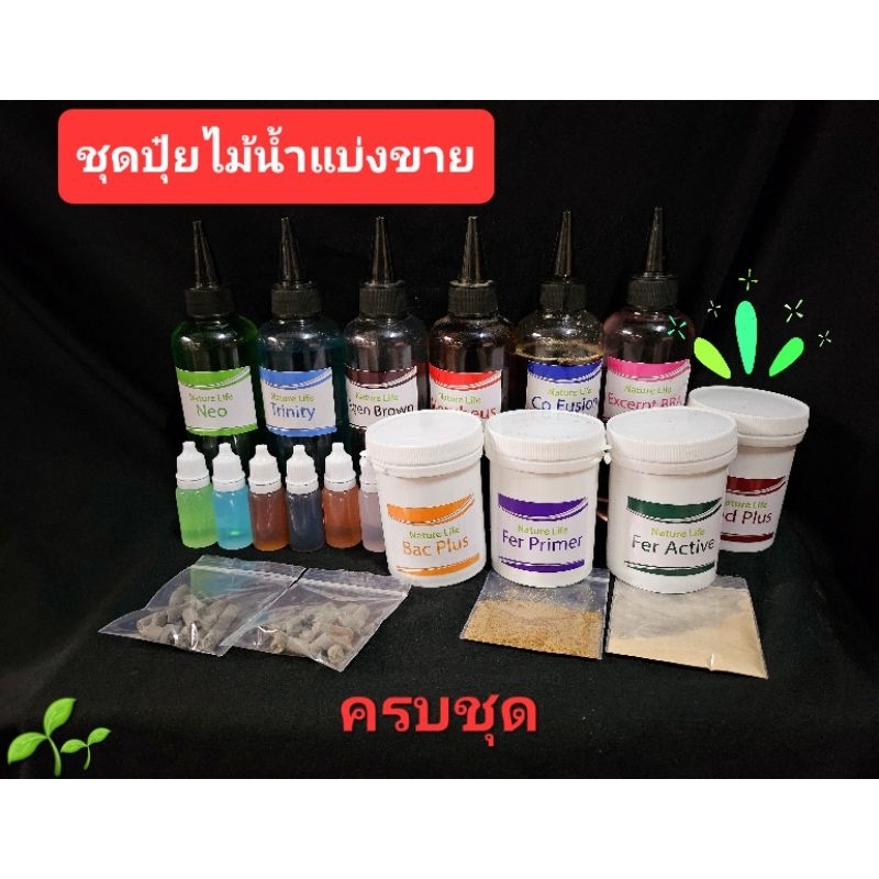 ชุดเช็ทใหญ่ตั้งตู้ไม้น้ำครบชุดแบ่งขาย ต้นไม้น้ำ