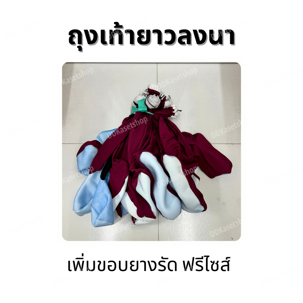 ถุงเท้ายาวลงนา ถุงเท้าตีนเป็ด กันหอย กันทาก สำหรับใส่ทำนา เพิ่มขอบยางรัด ฟรีไซส์ คละแบบ/คละลาย/คละสี