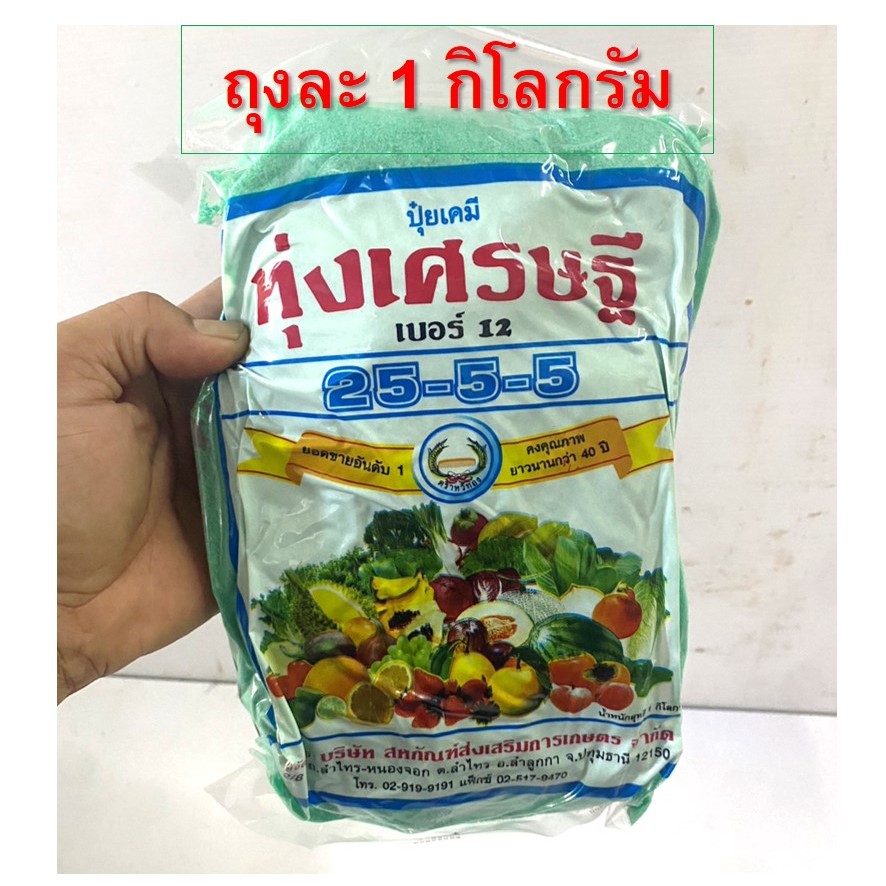 ปุ๋ยเกล็ด ฉีดพ่นทางใบลำต้น ทุ่งเศรษฐี ตราหวีทอง สูตร รูปที่ 7