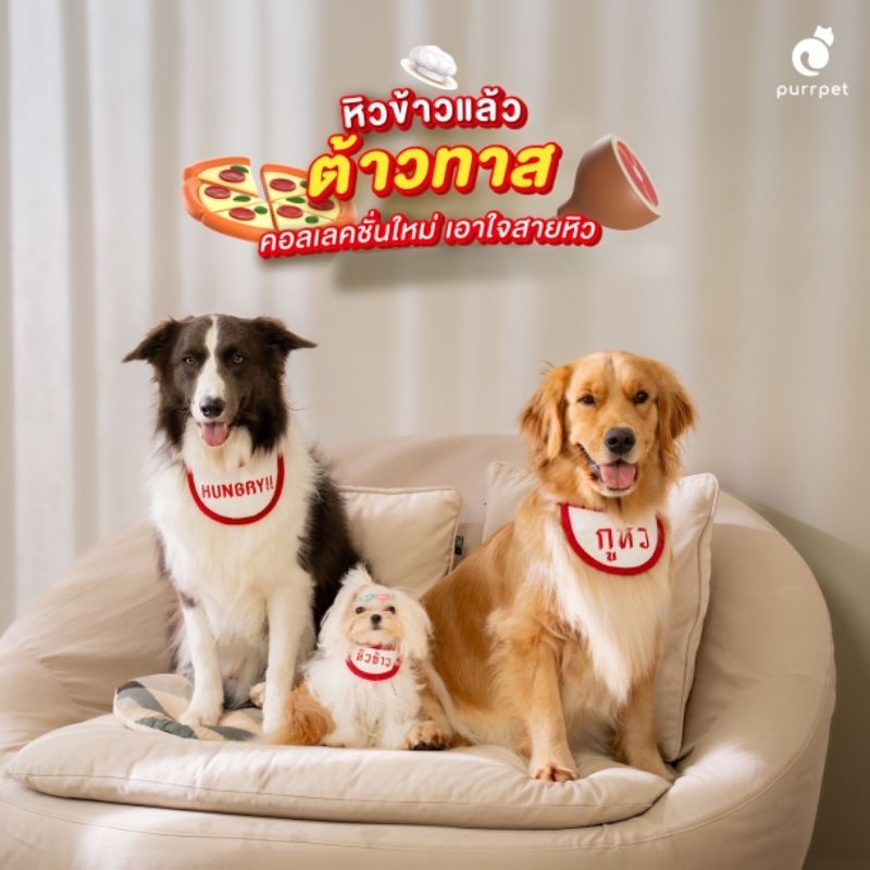 Bib หิวข้าวแล้วต้าวทาส!! - Hungry Collection Purrpet