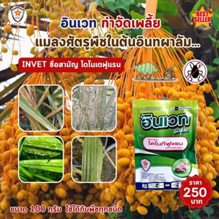 กำจัดเพลี้ย ในต้นอินทผาลัม เช่นเพลี้ยแป้ง เพลี้ยอ่อน เพลี้ยไ…