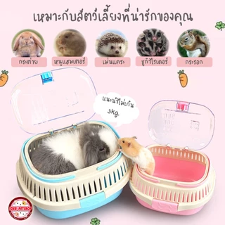 กล่องพกพารุ่นใหม่!! กล่องใส่สัตว์เลี้ยง กล่องเดินทางใส่สัตว์เลี้ยงอเนกประสงห์ Shobi-HC01-02