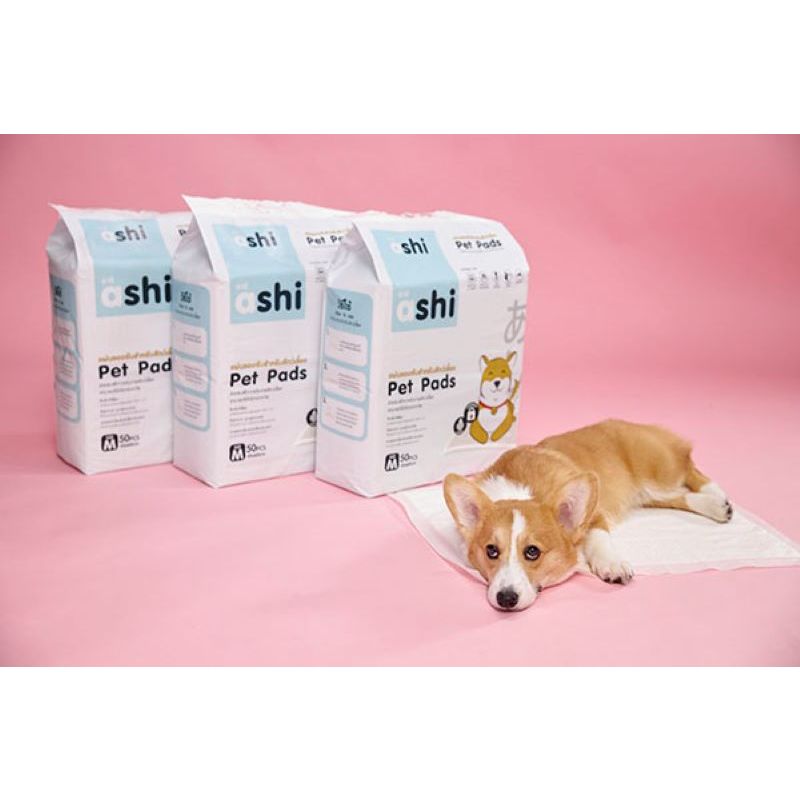 แผ่นรองฉี่สุนัข Ashi Pet Pads แผ่นรองซับ สัตว์เลี้ยง รูปที่ 4