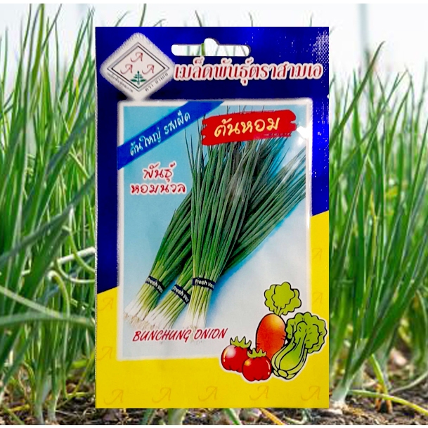 เมล็ดต้นหอม​ 350​ เมล็ด