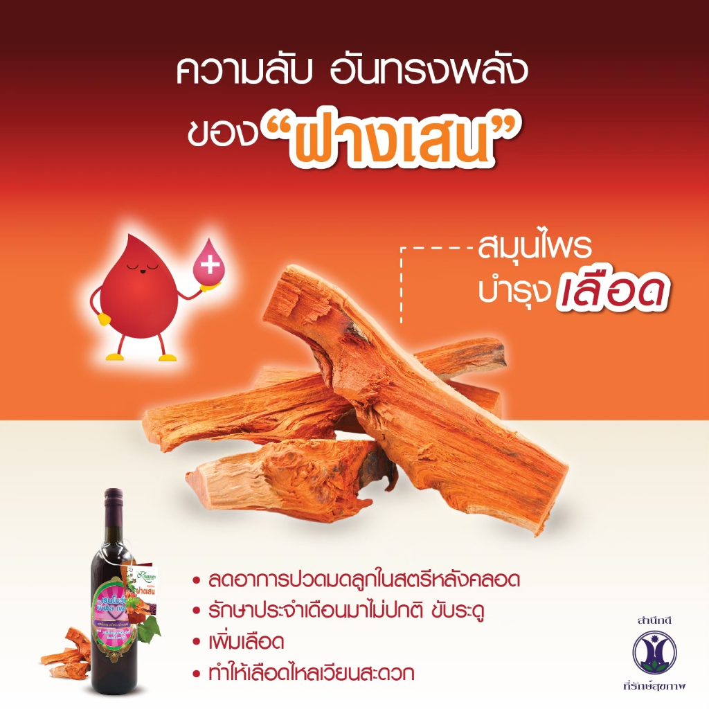 ของแท้💯!🔥 อาจารย์อุบล สมุนไพรก้านตอง เฟิร์สมี พีเพิล เฟรช โปร 2+2 ขวด คู่เรนโบว์นี่ พีเพิล เฟรช ฟื้นฟูร่างกาย - รูปที่ 6