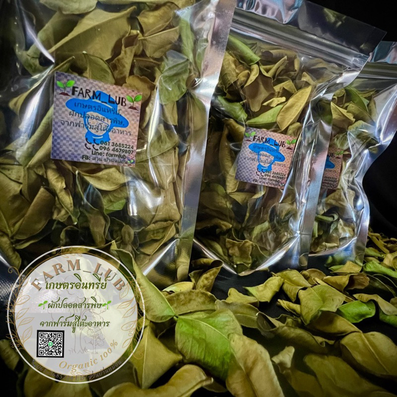 ใบมะกรูดอบแห้ง สมุนไพรไทย Kaffir lime leaves ️Organic100%