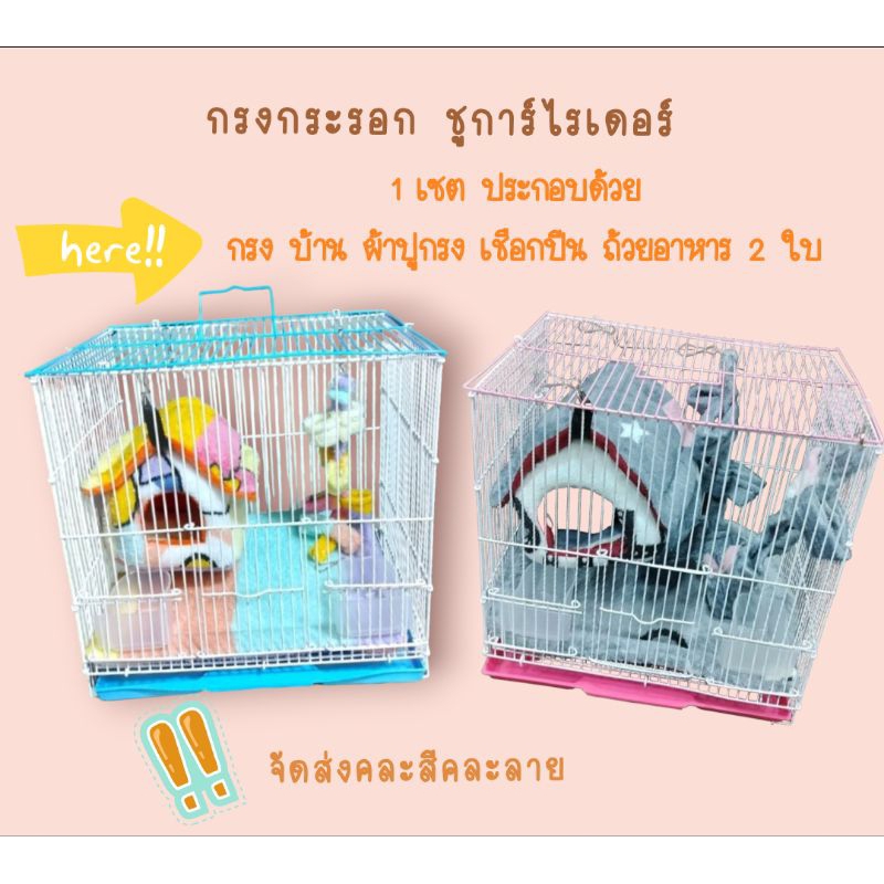 กรงกระรอก ชูการ์ไรเดอร์ ครบเซต ประกอบด้วย บ้าน ผ้าปู เชือกปีน ถ้วยอาหาร ถ้วยน้ำ❗️จัดส่งคละสี ขนาดดูรูปถัดไป