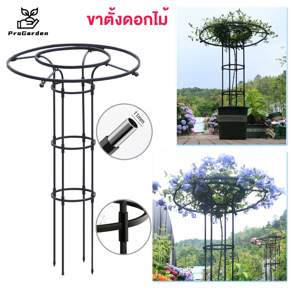 PG.ซุ้มกุหลาบเลื้อย ซุ้มกุหลาบ ซุ้มไม้เลื้อย เหล็กแข็งแรง โครงกุหลาบเลื้อย ท่อเหล็กเคลือบ PE กันสนิม โครงเหล็กดัด