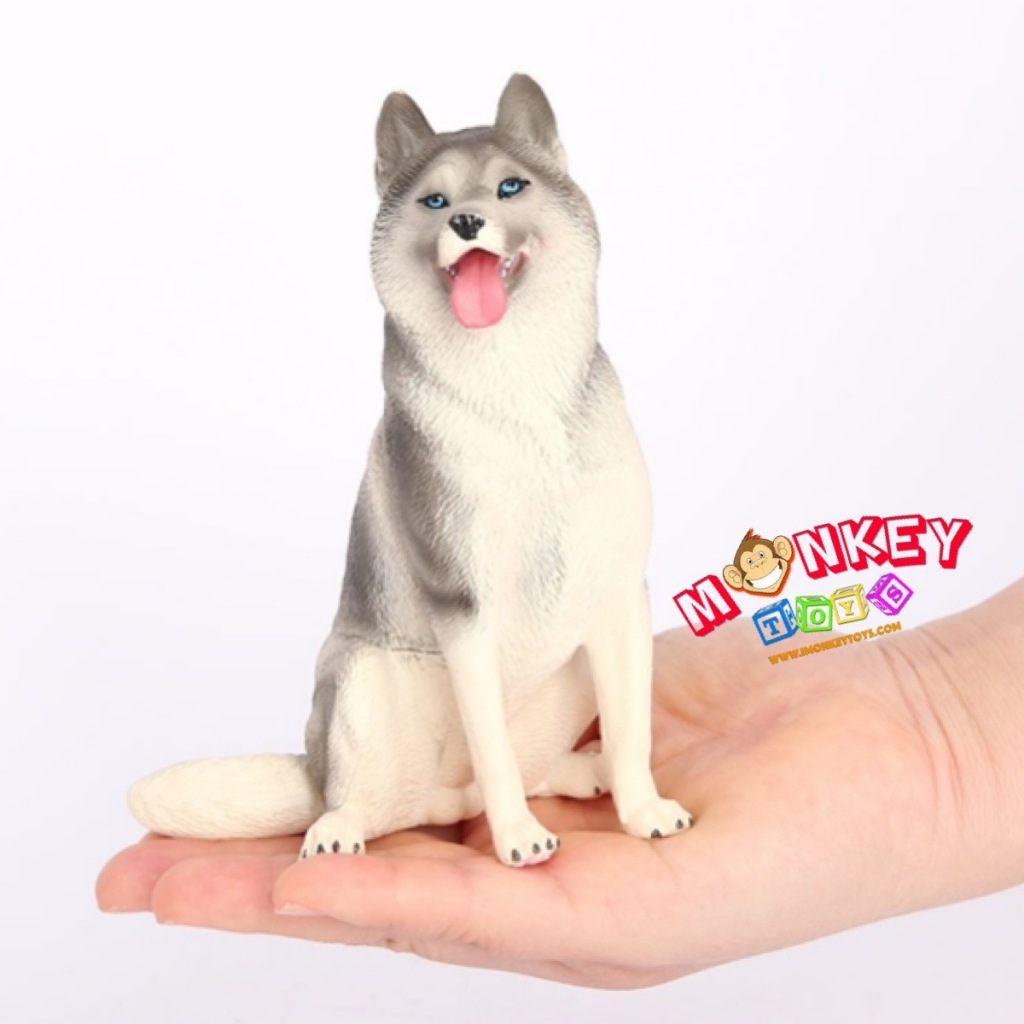 Monkey Toys - โมเดลสัตว์ Dog หมา ไซบีเรียนฮัสกี นั่ง เทา ขนาด 14.00 CM (จากหาดใหญ่)