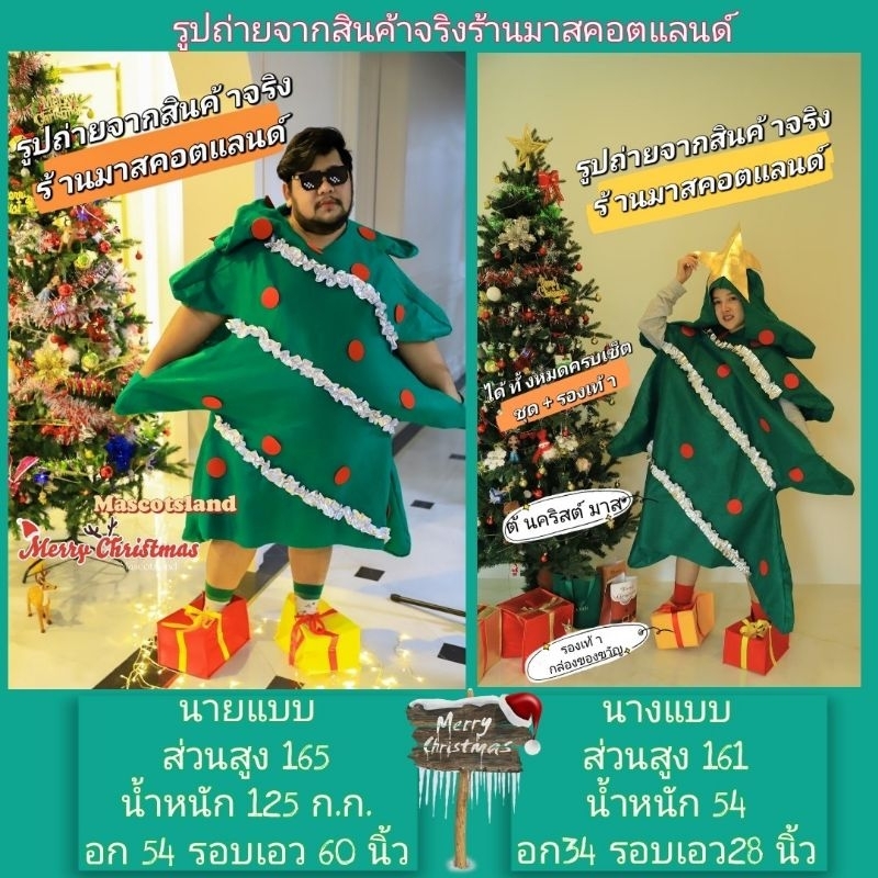 ชุดต้นคริสต์มาส พร้อมรองเท้ากล่องของขวัญ